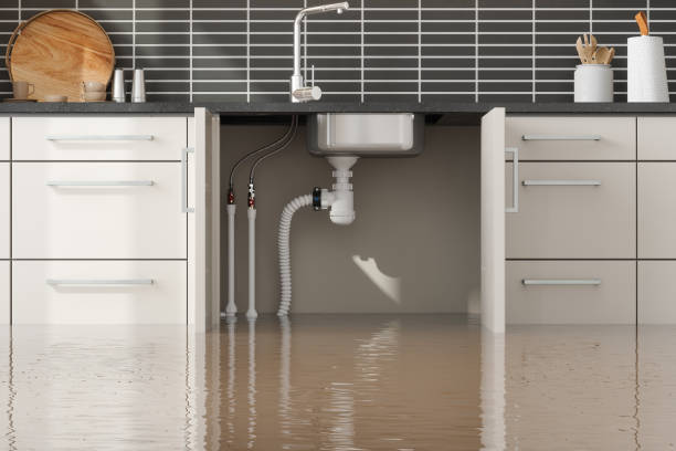 Water damage restoration mold remediation in Northlake, IL