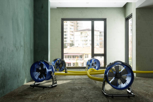 Professional Water damage restoration in Northlake, IL